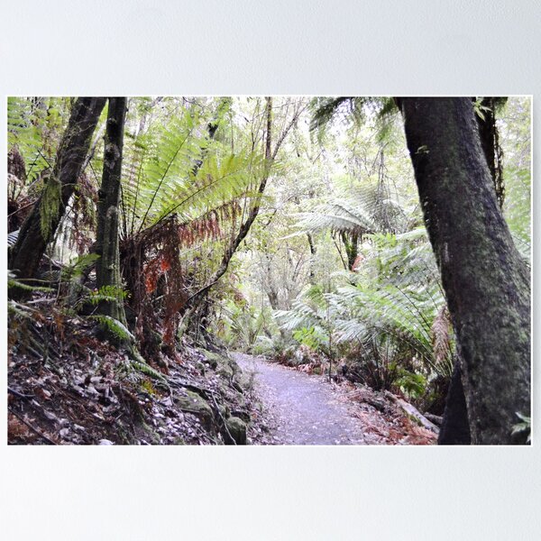 Item preview, A Walk in the Forest designed and sold by Judi Rustage.