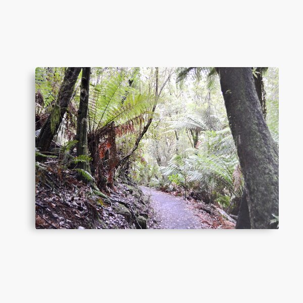 Item preview, A Walk in the Forest designed and sold by Judi Rustage.