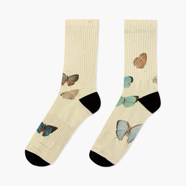 Item preview, Illustrations of Diurnal Lepidoptera Butterflies designed and sold by wild.geranium.design.