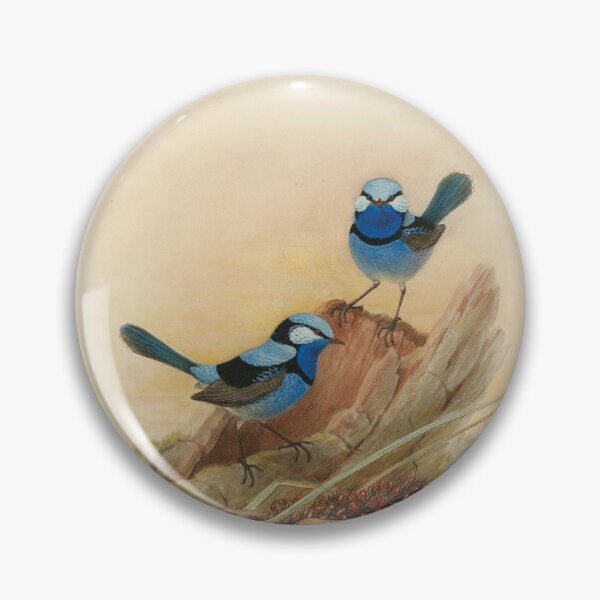 Item preview, Splendid fairy wren, circa 1867 designed and sold by State Library of South Australia.