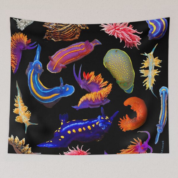 Aperçu de l'œuvre Nudibranche créée et vendue par Crotaluszonata.