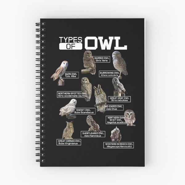 Item preview, Educational Owl Themed Gift Design Cute Owl Gift graphic designed and sold by Lisbob.