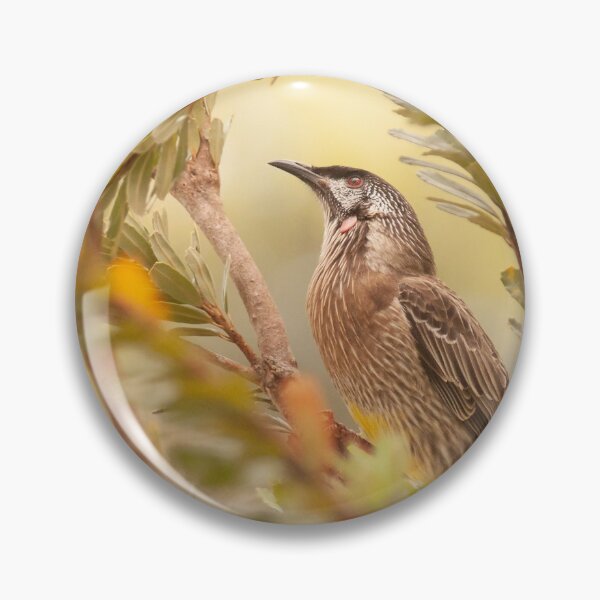 Item preview, Red Wattlebird designed and sold by SusanAdey.