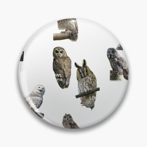 Item preview, Educational Owl Themed Gift Design Cute Owl Gift graphic designed and sold by Lisbob.