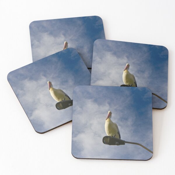 Item preview, Pelican on the Light designed and sold by Mickangelhere.