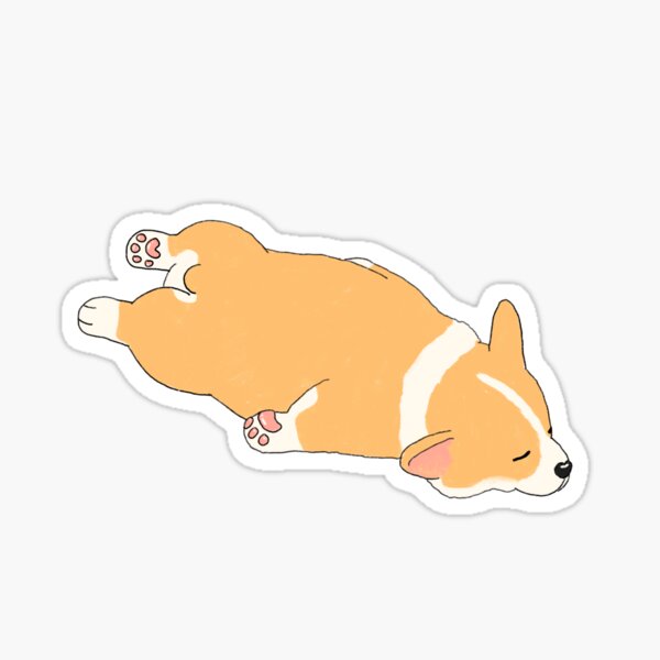 Cute Sploot Sleeping Corgi Sticker