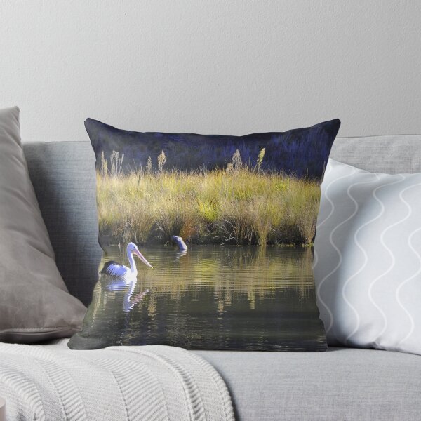Item preview, Pelican at Tidbinbilla - Canberra ecotourism experiences designed and sold by chijude.