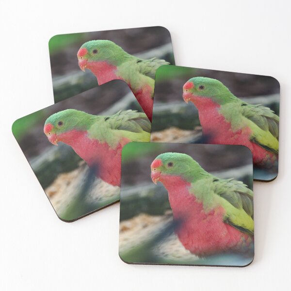 Item preview, Crossbreed parrot designed and sold by hendrikspix.