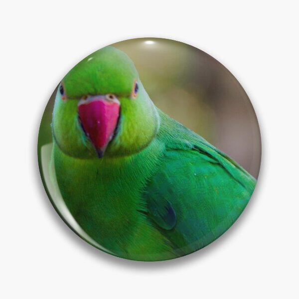 Item preview, Ring Neck Parrot designed and sold by DVart-nz.