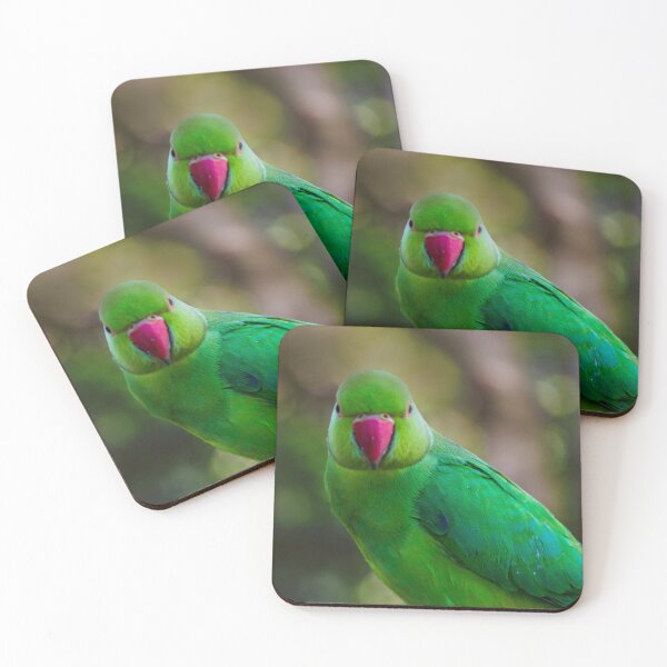 Item preview, Ring Neck Parrot designed and sold by DVart-nz.