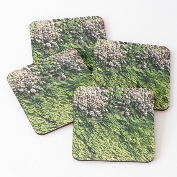 Item preview, Beautiful coastal dune and creatures photography designed and sold by EarthyPlanty.