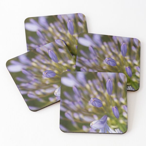 Item preview, Agapanthus From Bud To Flower designed and sold by Joy Watson - Natural Light Photography .