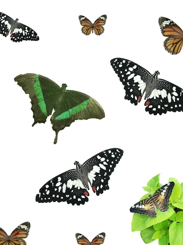 Thumbnail 4 of 4, iPhone Case, Multi Mini Butterfly Sticker Pack designed and sold by ghost-becca.