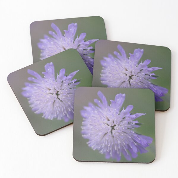 Item preview, Pincushion Scabiosa designed and sold by Jennifer Roach.