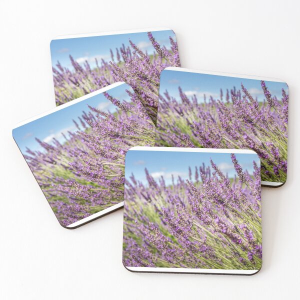 Item preview, Lavender field in Provence, south of France designed and sold by gianliguori.