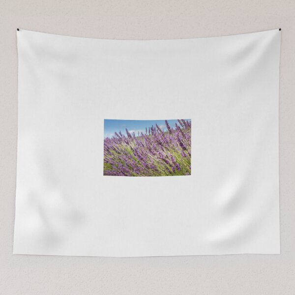 Item preview, Lavender field in Provence, south of France designed and sold by gianliguori.
