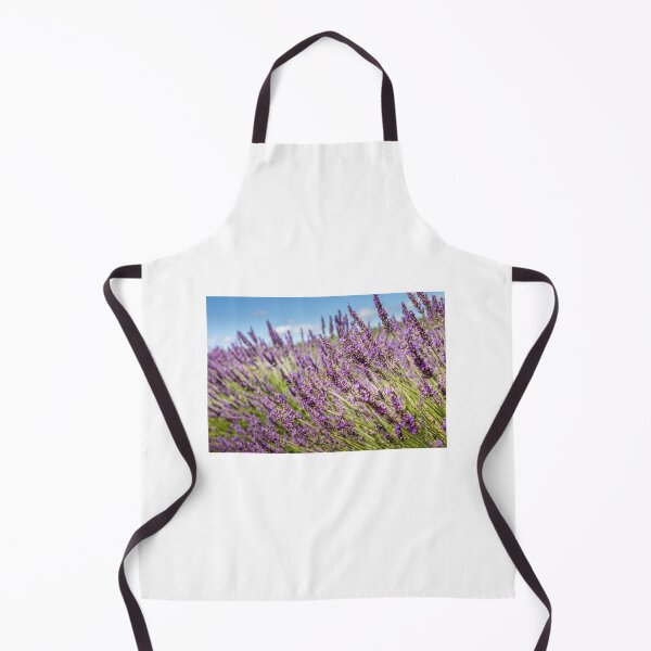 Item preview, Lavender field in Provence, south of France designed and sold by gianliguori.
