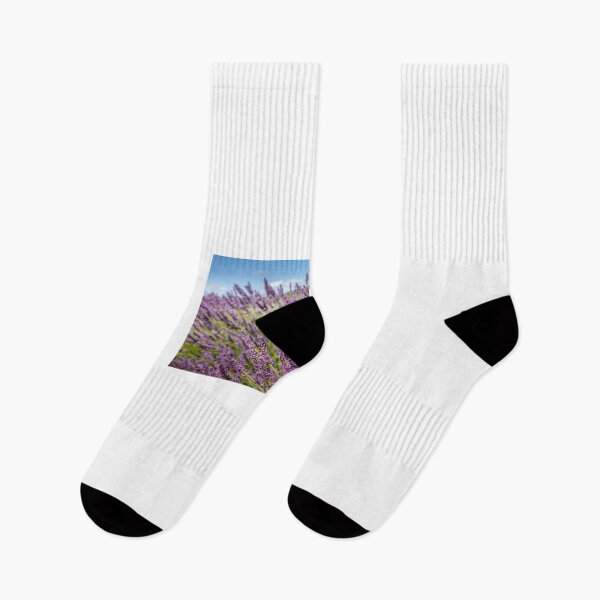 Item preview, Lavender field in Provence, south of France designed and sold by gianliguori.