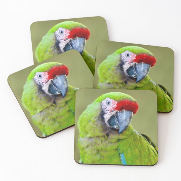 Item preview, Military Macaw Striking a Pose designed and sold by richardbryce.