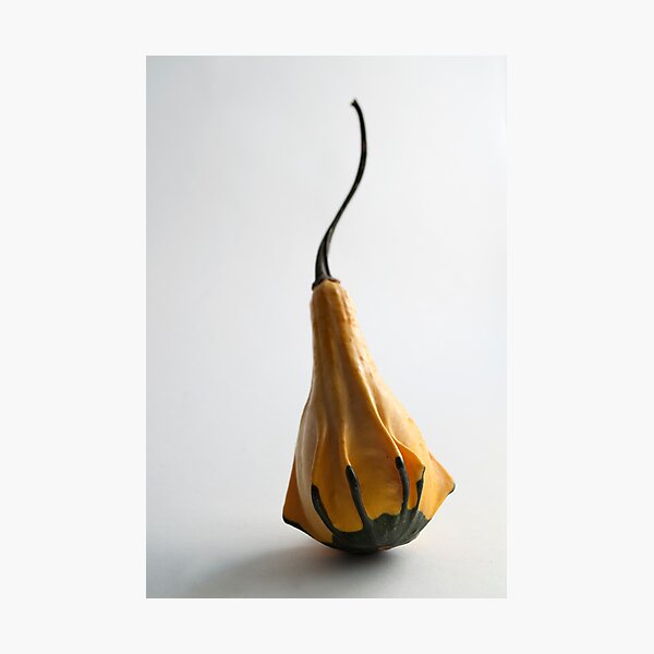 Farmers Market Gourds 2014 -1 Photographic Print