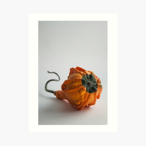 Farmers Market Gourds 2014 -3 bottom Art Print