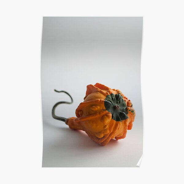 Farmers Market Gourds 2014 -3 bottom Poster
