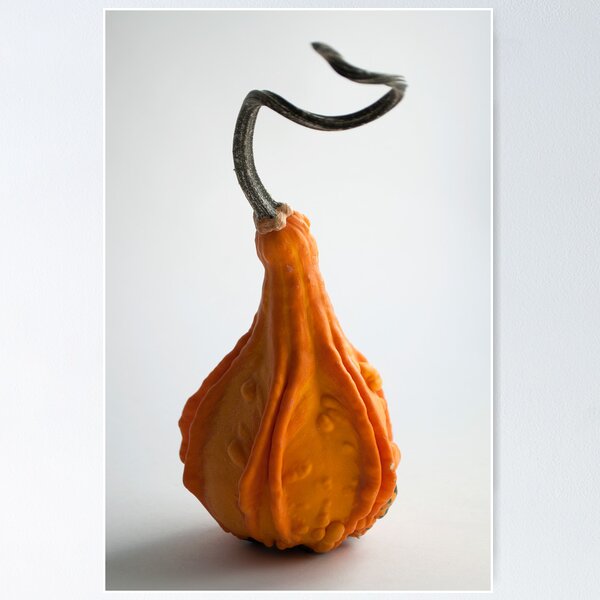 Item preview, Farmers Market Gourds 2014 -3 designed and sold by BonnieJames.