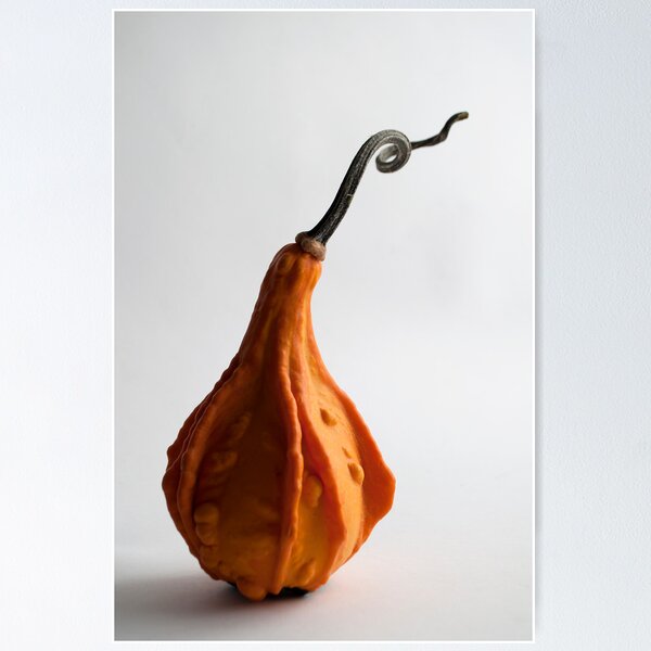Item preview, Farmers Market Gourds 2014 -3 twist designed and sold by BonnieJames.
