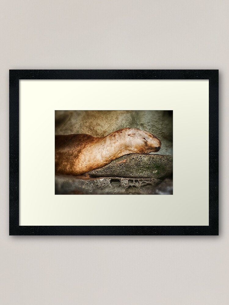 Alternate view of Nap Time on the Belle Chain Framed Art Print