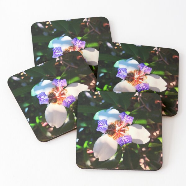 Item preview, Walking Iris, Neomarica flower designed and sold by Starzyia.