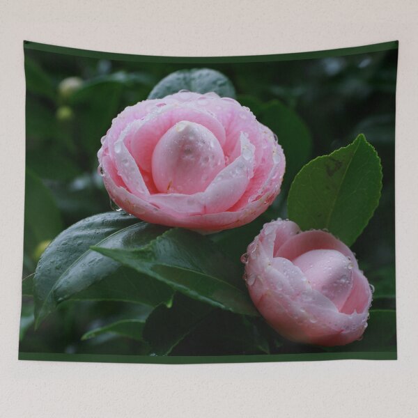 Item preview, Camelias designed and sold by Gaspar Avila.