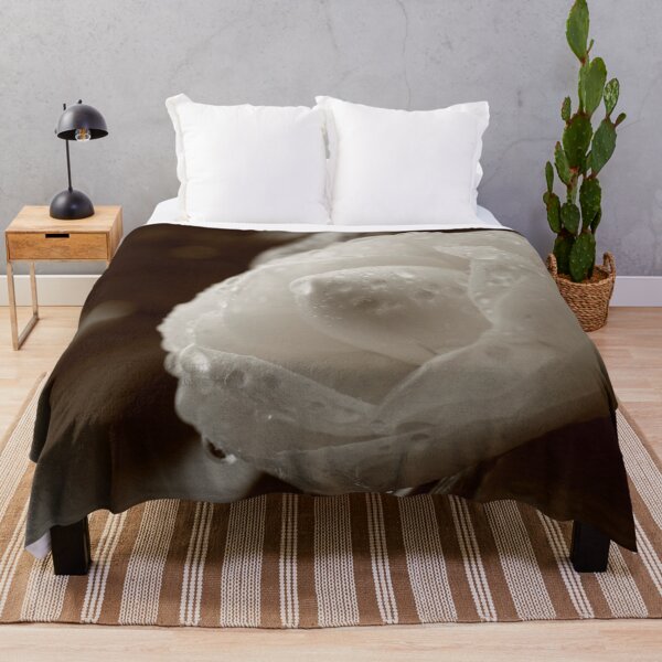Item preview, Camellia japonica designed and sold by Gaspar Avila.