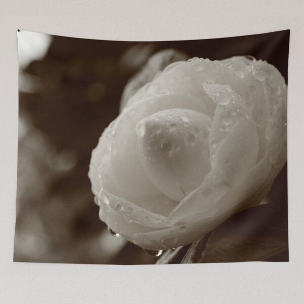 Item preview, Camellia japonica designed and sold by Gaspar Avila.