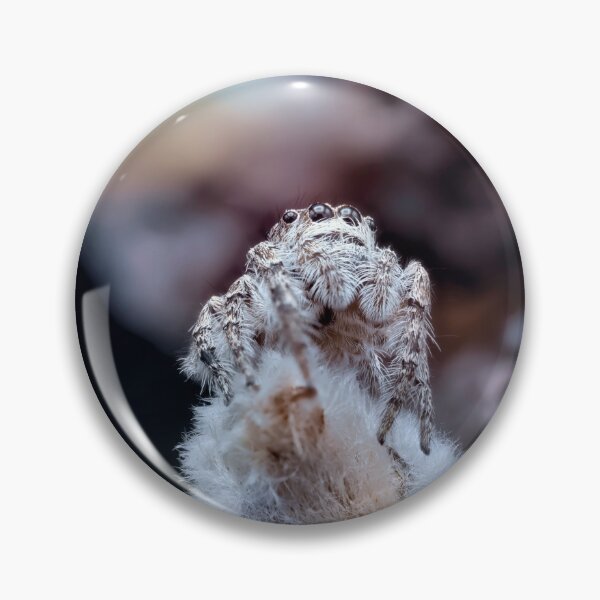 Item preview, Macro photo of a jumping spider designed and sold by hendrikspix.