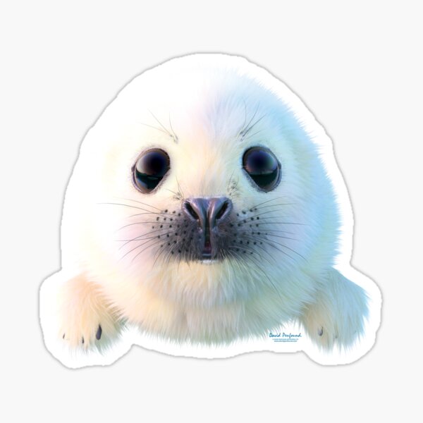 seal pup Sticker