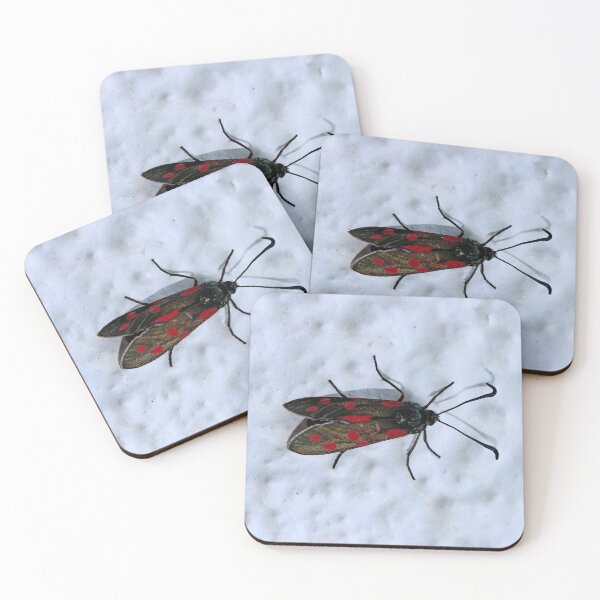 Item preview,  burnet moth designed and sold by pinkal.