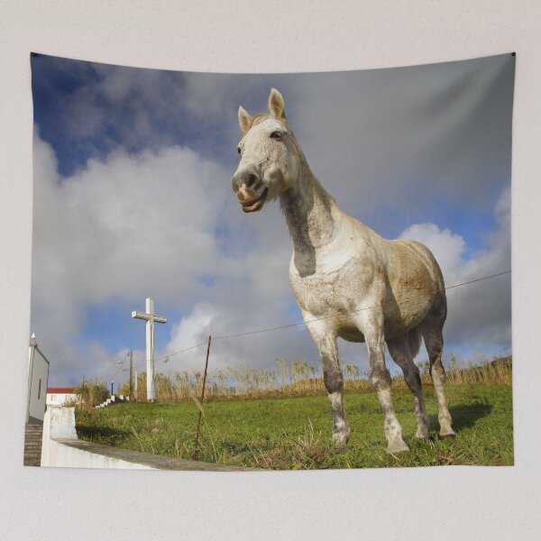 Item preview, Caballo y capilla designed and sold by Gaspar Avila.