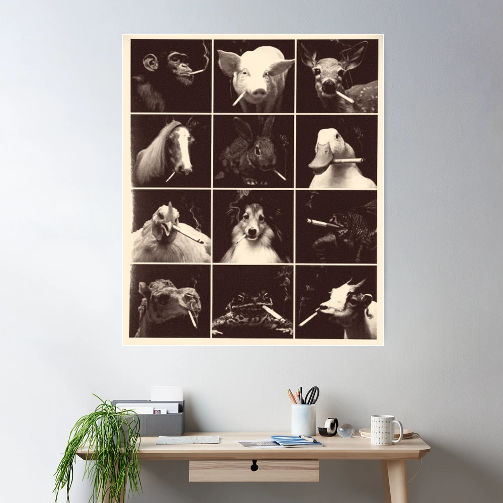 Animals Smoking
