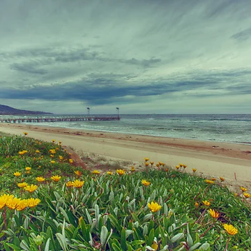 Artwork thumbnail, Spring by Shari Sherriff