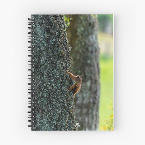 Item preview, Red squirrel on tree trunk designed and sold by iCimages.net.