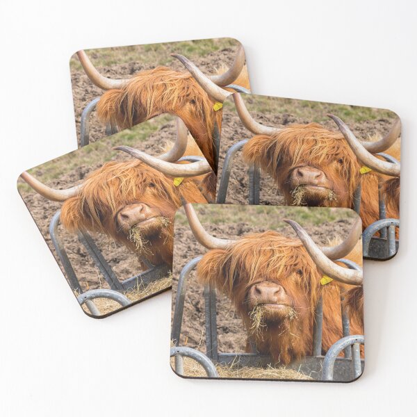 Item preview, Cute hungry ginger Scottish Highland cow designed and sold by HaleyRedshaw.