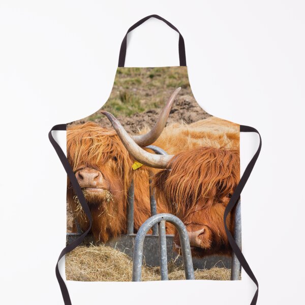 Item preview, Massive ginger Scottish Highland cows designed and sold by HaleyRedshaw.