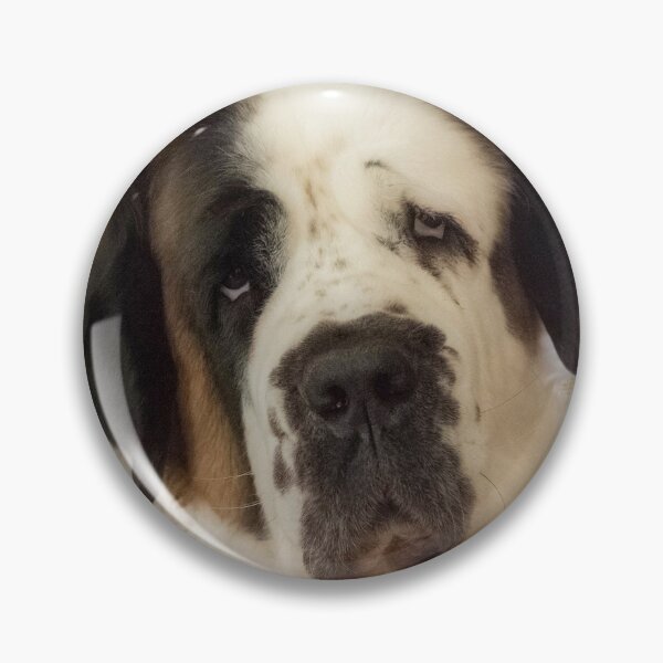 Item preview, St Bernard dog portrait  designed and sold by HaleyRedshaw.