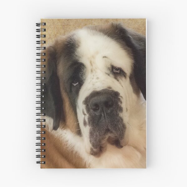Item preview, St Bernard dog portrait  designed and sold by HaleyRedshaw.