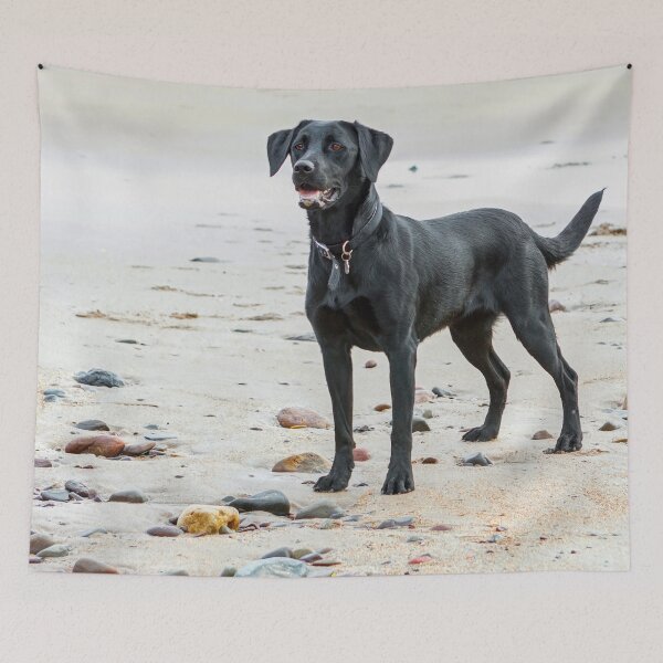 Item preview, Black Labrador dog on the beach designed and sold by HaleyRedshaw.