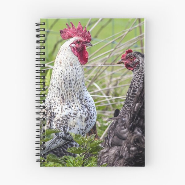 Item preview, pair of colourful cockerels  designed and sold by HaleyRedshaw.