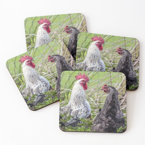 Item preview, pair of colourful cockerels  designed and sold by HaleyRedshaw.