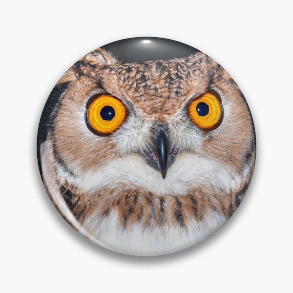 Item preview, Tawny owl designed and sold by iCimages.net.