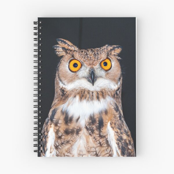 Item preview, Tawny owl designed and sold by iCimages.net.