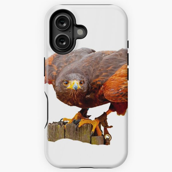 Item preview, Alert Harris Hawk designed and sold by OwlOccasions.